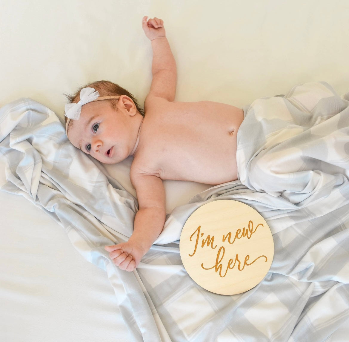 Svøb - French Zephyr